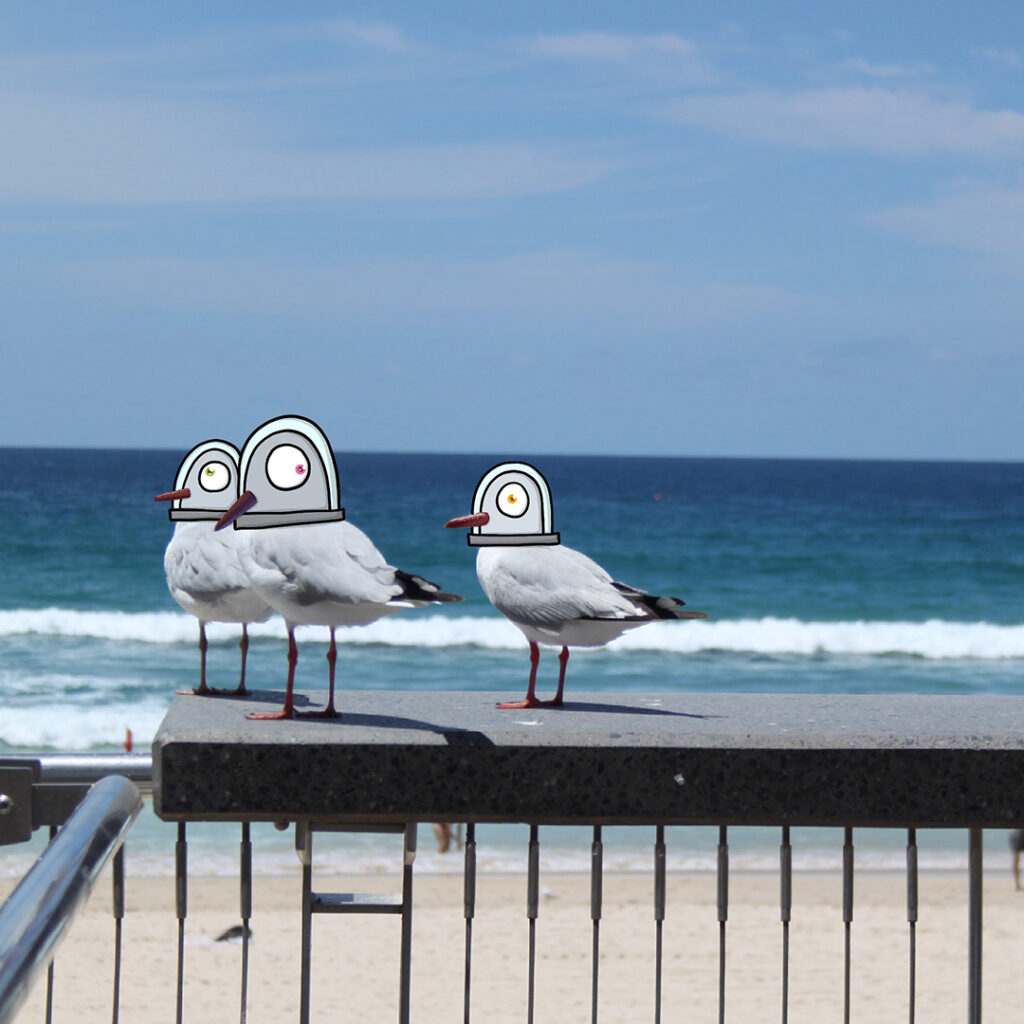 KOTZROCK Digital Illustration, Seagulls at Surfers Paradise, Queensland, Australia